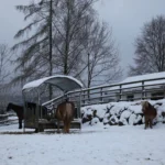 Klirrende Kälte bei der PFOTENHILFE in Lochen
