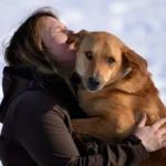 PFOTENHILFE informiert: