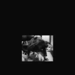 Prozess um sterbenskranken Hund: Diversion und Freispruch