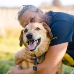 Pfotenhilfe: Giftköderalarm in Salzburg!