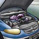 Achtung blinder Passagier!