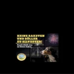 Silvester tierfreundlich: Lachen statt Krachen