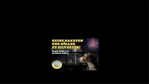 Silvester tierfreundlich: Lachen statt Krachen