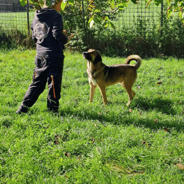 Adoption Gallery Image