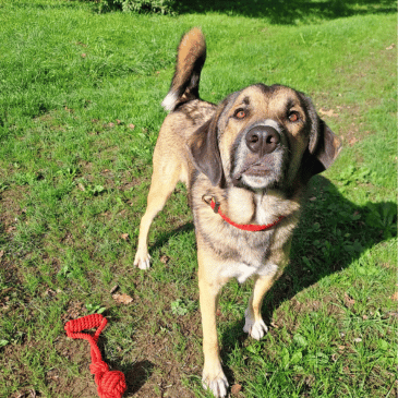 Adoption Gallery Image