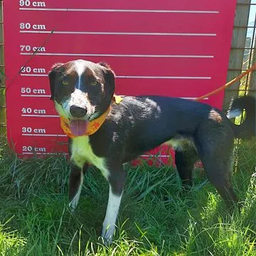 Adoption Gallery Image