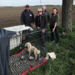 Wels: Erfolgreicher Einsatz mit Pfotenhilfe-Hundefalle