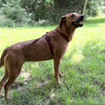 Zoe