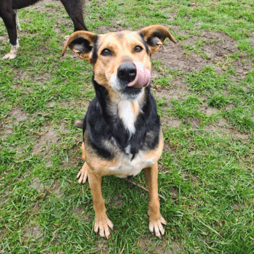 Adoption Gallery Image