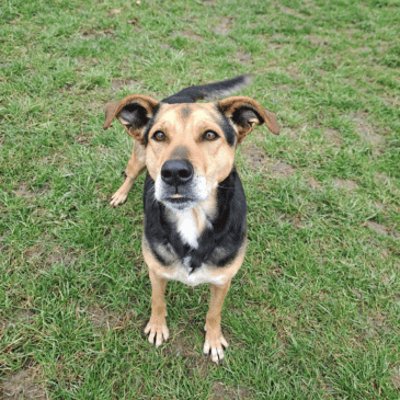 Adoption Gallery Image