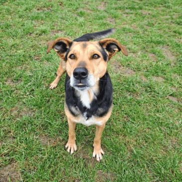 Adoption Gallery Image