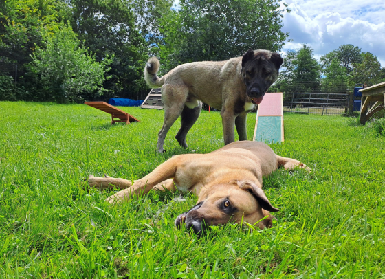 Hera und Zeus