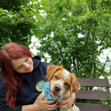 Adoption Gallery Image