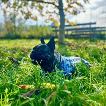 Adoption Gallery Image