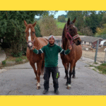 Große Erleichterung: 51 beschlagnahmte Tiere müssen nicht zurück