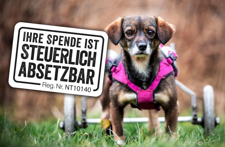 Umfrage - Ihre Spende ist steuerlich absetzbar