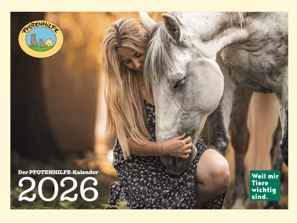 Kalenderbestellung_2026