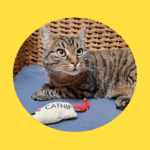 Wegen Epilepsie ausgesetzt?