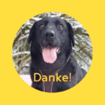 Blackys Operation kann Dank Ihnen stattfinden!