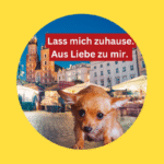 Hunde auf Weihnachtsmärkten? Bitte nicht!