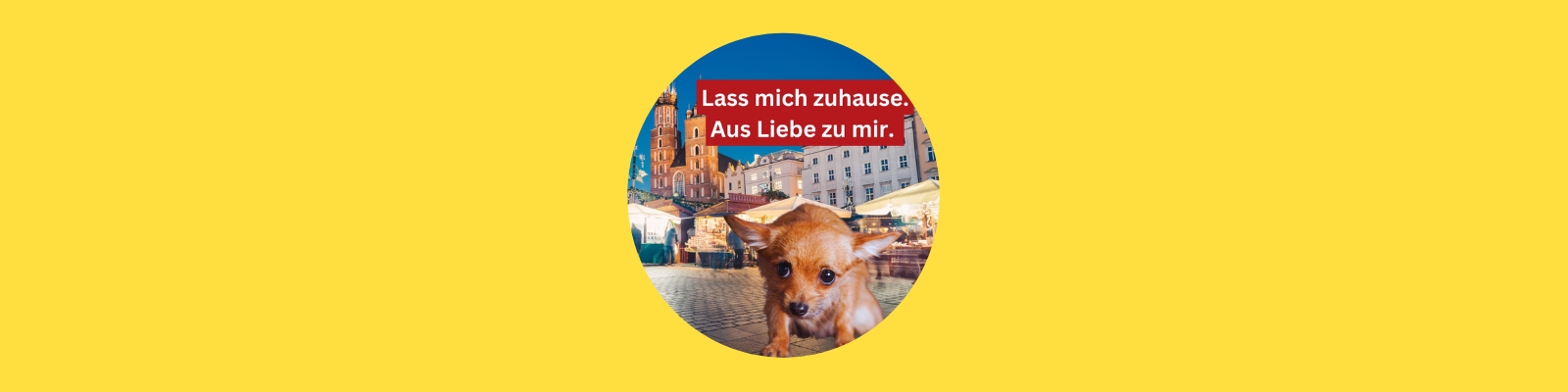 Hunde auf Weihnachtsmärkten?