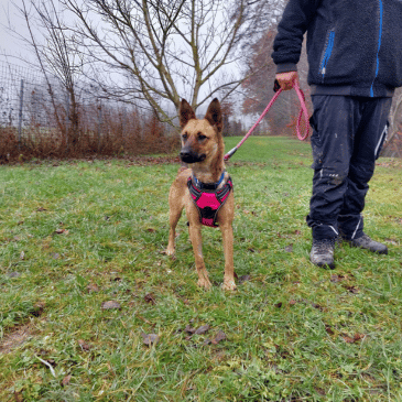 Adoption Gallery Image