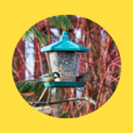 Pfotenhilfe: Wildtierfütterung ist wichtig und macht Freude