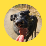 Gara macht riesige Fortschritte