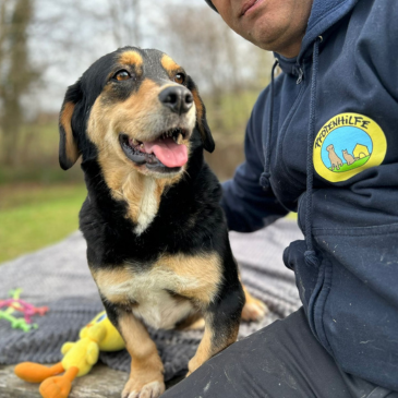 Adoption Gallery Image