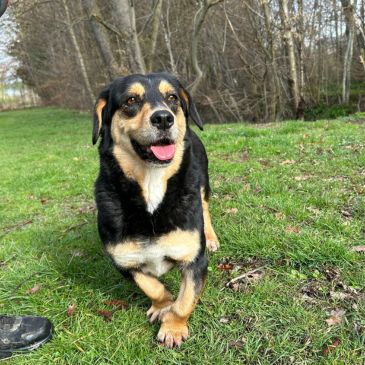 Adoption Gallery Image