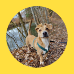 Pablo hat die Computertomographie schon hinter sich!