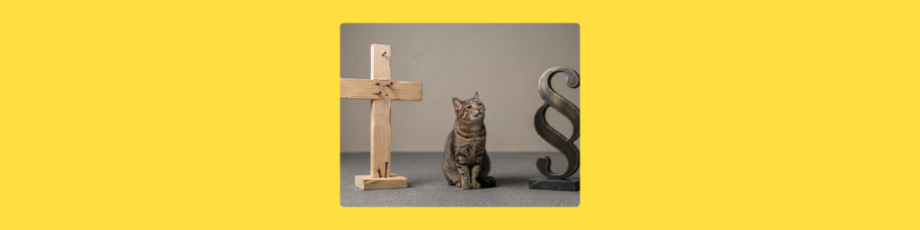Gekreuzigte Katze: 2.000,- Ergreiferprämie!
