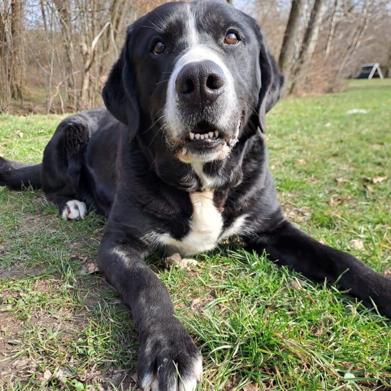 Macy