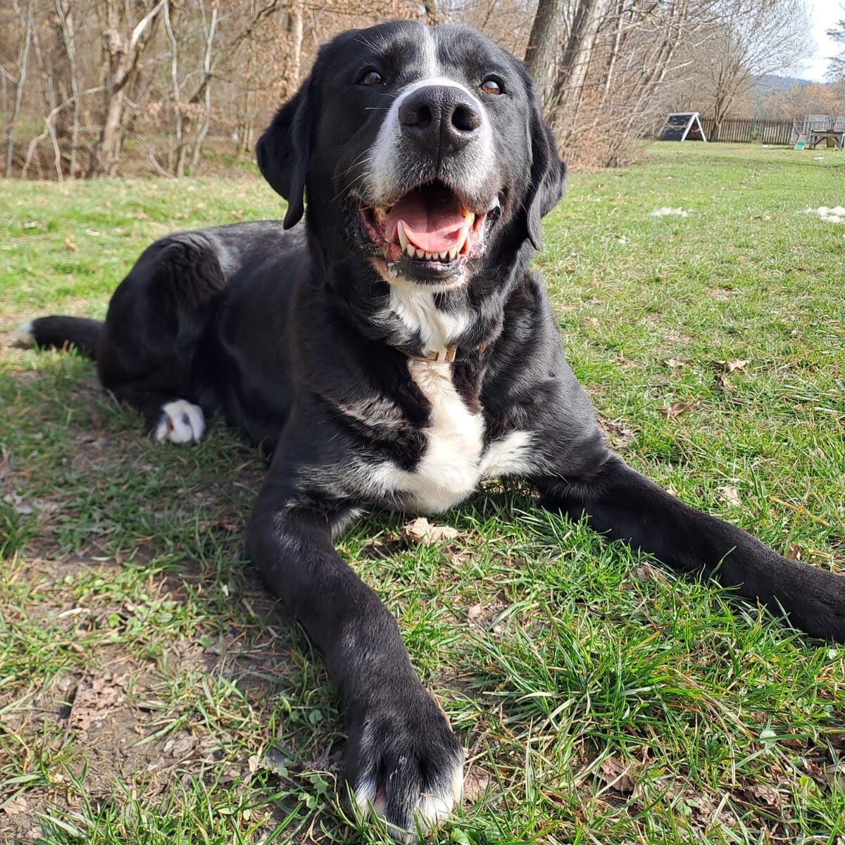 Macy